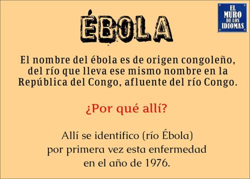 10423904_857722807601904_8547725149770233612_n